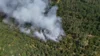 Foto vom Album: 090826 Waldbrand  Kleiner Stein