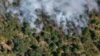 Foto vom Album: 090826 Waldbrand  Kleiner Stein