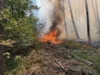 Foto vom Album: 090826 Waldbrand  Kleiner Stein