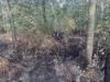Foto vom Album: 090826 Waldbrand  Kleiner Stein