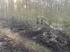 Foto vom Album: 090826 Waldbrand  Kleiner Stein