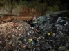 Foto vom Album: 180826 Brand Mischabfallhaufen