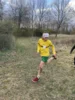 Foto vom Album: Crosslauf Gröditz