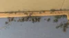 20260822-0043