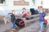 Foto vom Album: Sommerprojekt