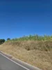 Fotoalbum