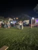 Foto vom Album: Fest der Vereine 2026