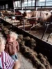 Foto vom Album: Besuch im Kuhstall