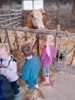 Foto vom Album: Besuch im Kuhstall