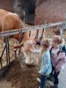 Foto vom Album: Besuch im Kuhstall
