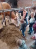 Foto vom Album: Besuch im Kuhstall