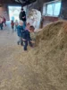 Foto vom Album: Besuch im Kuhstall