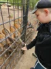 Foto vom Album: Wildpark Pforzheim 