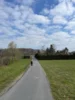 Foto vom Album: Frühjahrscrosslauf