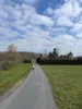 Foto vom Album: Frühjahrscrosslauf