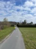 Foto vom Album: Frühjahrscrosslauf