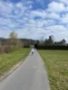 Foto vom Album: Frühjahrscrosslauf