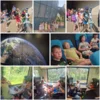 Planetarium in Wolfsburg
