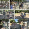 Foto vom Album: Sommerferien 2026