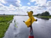 Foto vom Album: Fahrertraining 2026