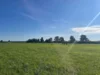 Foto vom Album: Moor-Future-Exkursion
