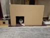 Fotoalbum