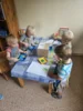 Foto vom Album: Rückblick August Mini-und Kleine Füchse
