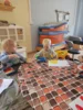 Foto vom Album: Rückblick August Mini-und Kleine Füchse