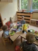 Foto vom Album: Rückblick August Mini-und Kleine Füchse