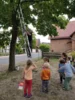 Foto vom Album: Rückblick August Große Füchse
