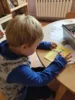 Foto vom Album: Rückblick August Große Füchse
