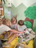 Foto vom Album: Rückblick August Große Füchse