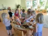 Foto vom Album: Rückblick August Große Füchse