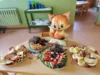 Foto vom Album: Rückblick August Große Füchse