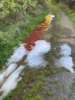 Foto vom Album: Unbekannte Flüssigkeit