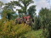 Foto vom Album: Königin Luises Herbstfest 2026  (Bild vergr&ouml;&szlig;ern)