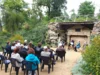 Foto vom Album: Königin Luises Herbstfest 2026  (Bild vergr&ouml;&szlig;ern)