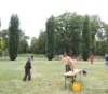 Foto vom Album: Königin Luises Herbstfest 2026