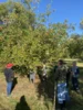 Foto vom Album: Auf Entdeckungstour durch unsere Gemeinde