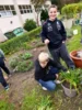 Foto vom Album: Garten AG