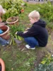 Foto vom Album: Garten AG