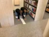 Foto vom Album: Bookcasting mit Schülern der Klassenstufe 5