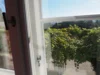 der Blick vom Saal im Ergeschoss fällt auf die Weinlaube, den Schlosspark und die absolut unverbaute Landschaft dahinter