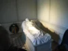 Da liegt sie, Königin Luise als Liegendskulptur im Sterbezimmer, Gipsversion des Bildnisses von Bildhauer Christian Daniel Rauch