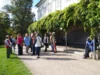 Die Weinlaube auf der Süd-Ost-Seite des Schlosses