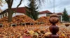 Foto vom Album: Herbstbrief