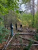 Foto vom Album: Auf die Plätze, fertig, los – die 8b packt im Wald mit an!