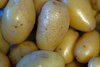www.find-das-bild.de, Michael Schnell | Alles rund um die Kartoffel