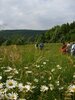 Heilsame Sommerkräuter vorgestellt auf einer leichten Wanderung am Alten Bahnhof Heyerode Bild der Veranstaltung