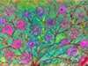 Gartenfrühling, Sandra, 16 Jahre Gartenfrühling, Sandra, 16 Jahre